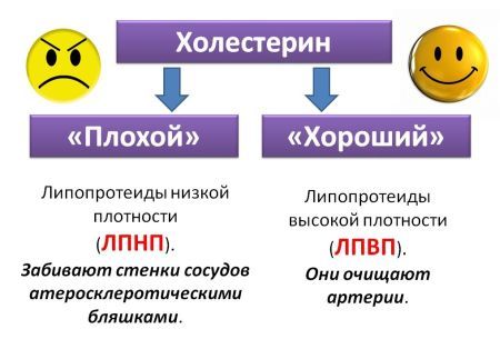 Повышенный билирубин и холестерин причины
