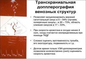 В сосудах бляшки: диагностика и терапия