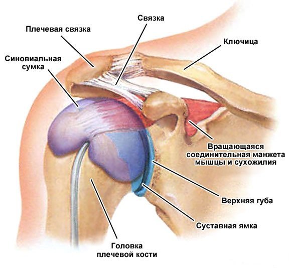 Уколы Дипроспан: инструкция по применению, цена, отзывы и аналоги