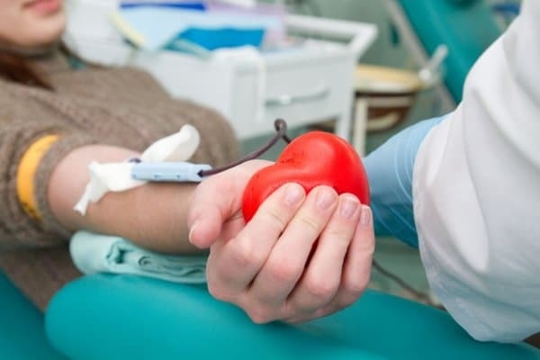 Сдача крови на донорство: правила, цена, отгулы, польза и вред, противопоказания