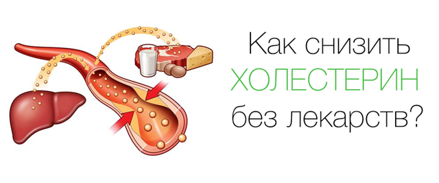 Снижение холестерина: как снизить повышенный холестерин в крови