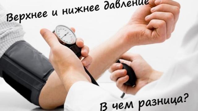 Верхнее и нижнее артериальное давление крови: что означает, за что отвечает? Какая разница должна быть между верхним и нижним давлением крови по возрасту допустимая и нормальная?