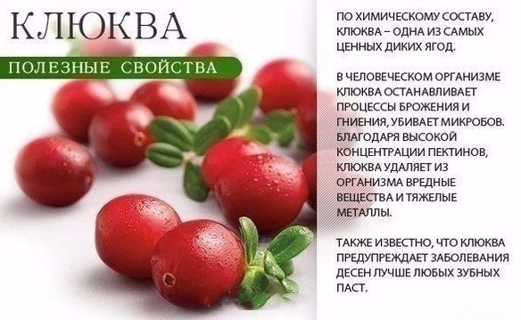Клюква от гипертонии рецепты - Гипертонии нет