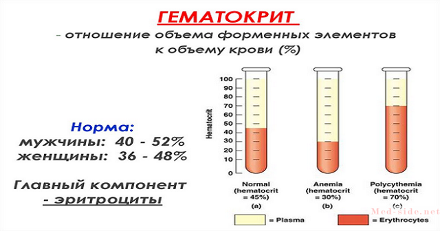 Основные компоненты крови