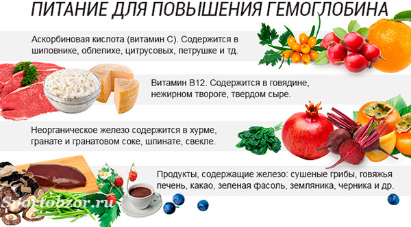 Что есть при анемии - питание при дефиците железа: рацион и полезные продукты при пониженном гемоглобине