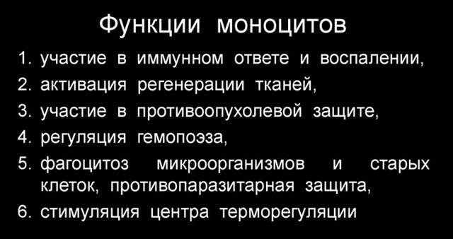 Норма моноцитов в крови у женщин и мужчин, что значит повышенные и пониженные моноциты