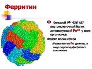 Может ли быть температура при анемии у взрослых?