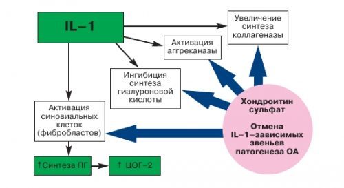ХОНДРОИТИН: ИНСТРУКЦИЯ ПО ПРИМЕНЕНИЮ, ЦЕНА, ОТЗЫВЫ, АНАЛОГИ КАПСУЛ ХОНДРОИТИН