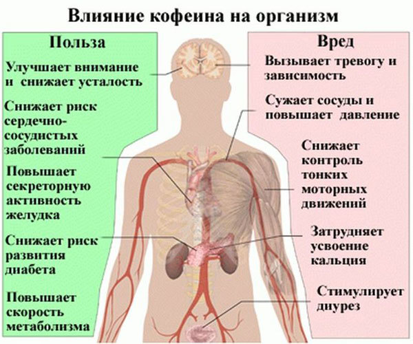 Можно Ли Пить Чай и Кофе При Варикозном Расширении Вен