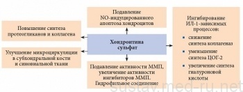 Терафлекс Адванс: состав, противопоказания, инструкция