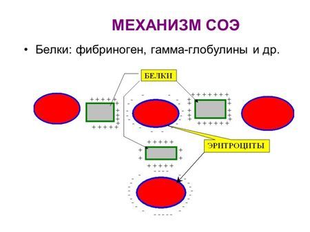 СОЭ: обозначение, норма, повышенный, пониженный, измерения