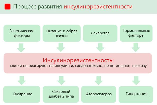 Гимнастика для диабетиков: комплекс эффективных упражнений, советы и рекомендации медиков