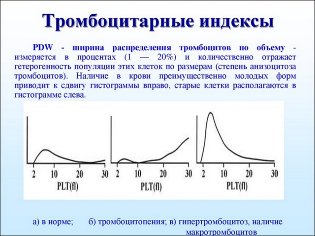 Тромбоциты: понятие, индекс распределения, большие тромбоциты, средний объем