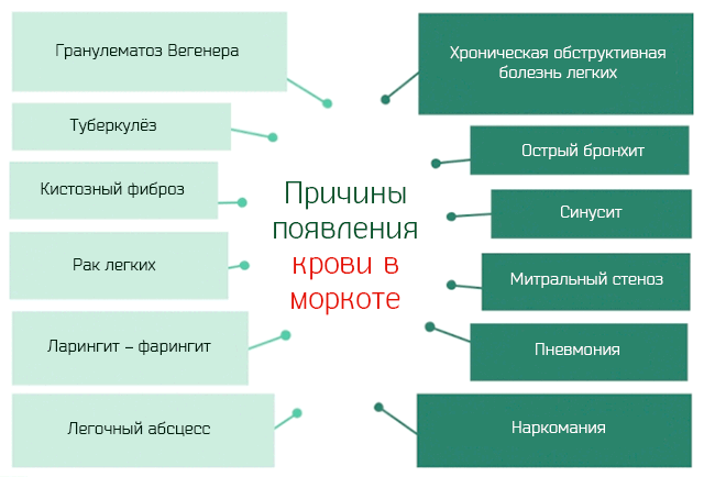 Слюна с кровью: причины ее появления при кашле, по утрам и т.д.