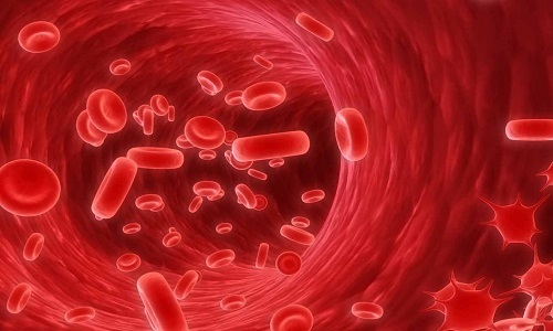 Тромбоциты в крови понижены: симптомы и лечение