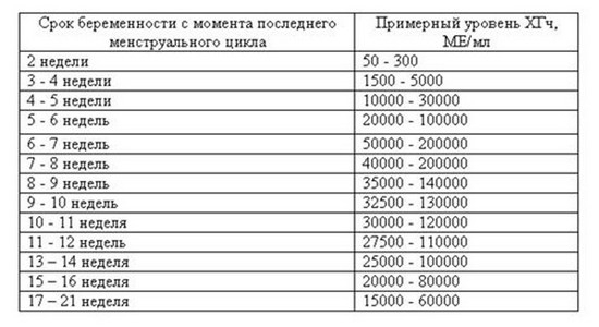 Анализ ХГЧ при беременности: зачем сдавать, уровни ХГЧ по неделям и их расшифровка