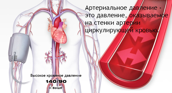 Коньяк повышает или понижает давление – мнение врачей