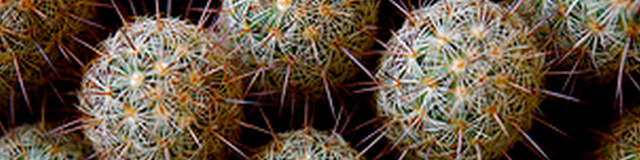 Мазь Левомеколь при геморрое - инструкция