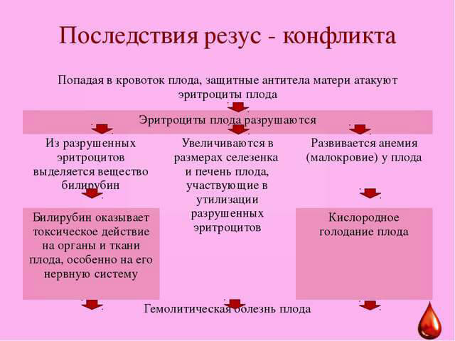 Резус конфликт при беременности: последствия для ребенка