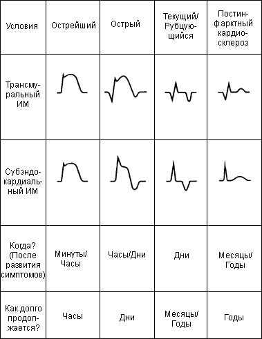 Классификация инфаркта миокарда: основные виды, формы и стадии
