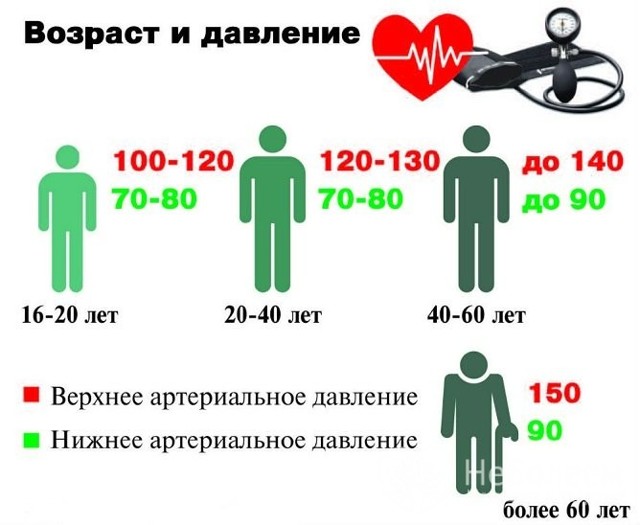 Что такое артериальное давление человека простыми словами