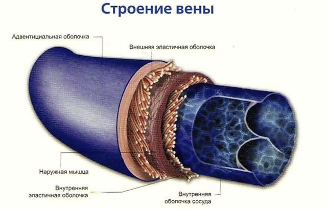 Опухла вена на пальце руки