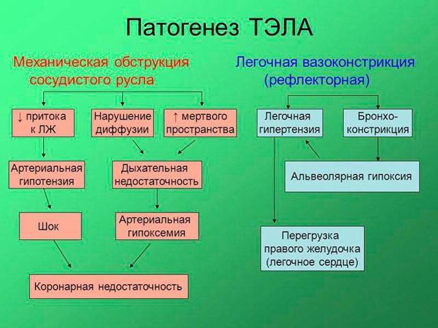 Тромб в легких: тромбоз легочной вены – симптомы и лечение