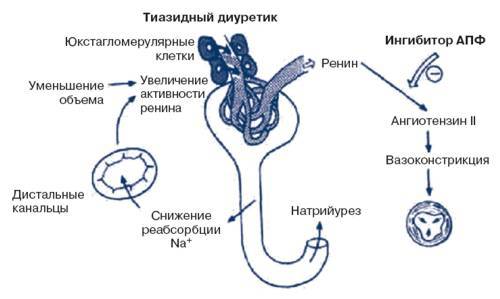 Арифон ретард: отзывы людей принимавших препарат, инструкция по применению