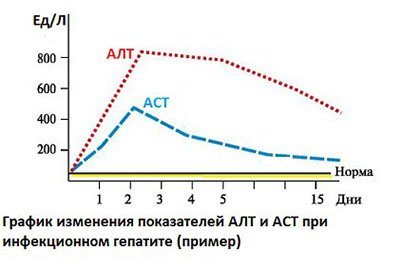 Аст 13 в крови — Лечим печень