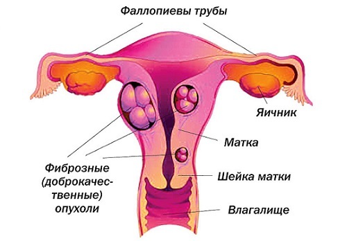 Кровянистые выделения в середине цикла - Топ советы