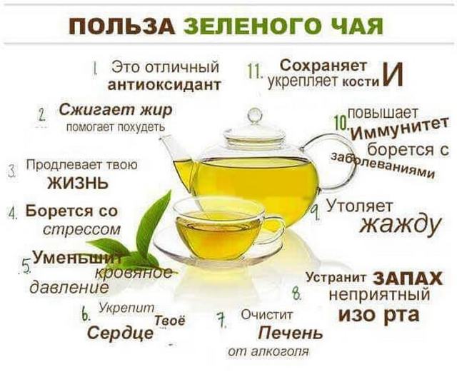 Как влияет зеленый чай: повышает или понижает давление