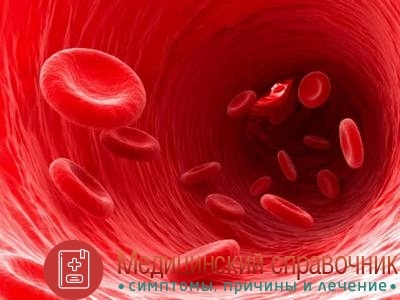 Ретикулоциты - норма у детей и взрослых, повышены и понижены в мазке крови