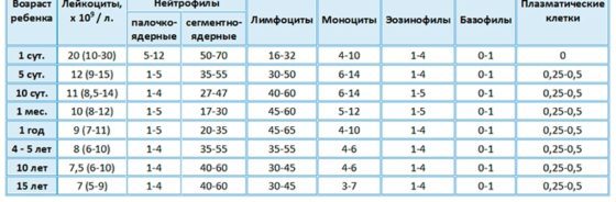 Лимфоциты в крови повышены: причины у женщин цимфацитоза