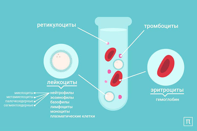 Эритроциты и гемоглобин. Анемии. Дифференциальная диагностика. Короче, Склифософский!