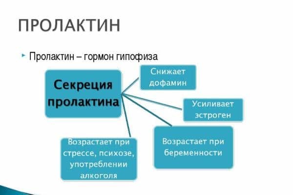 Виды анализов крови на гормоны: какой анализ сдать и когда?