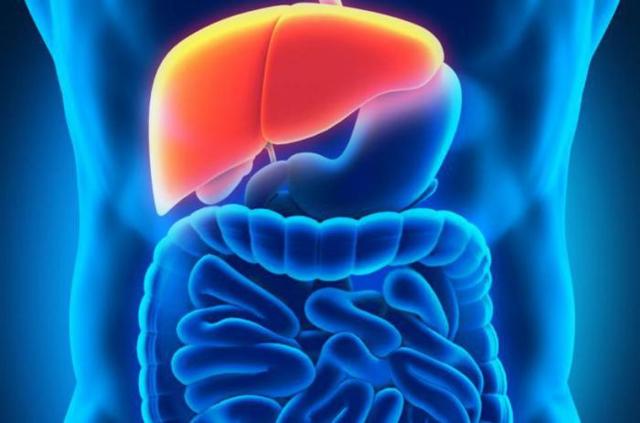 Повышенный билирубин – причины и симптомы билирубина, диагностика, лечение и профилактика