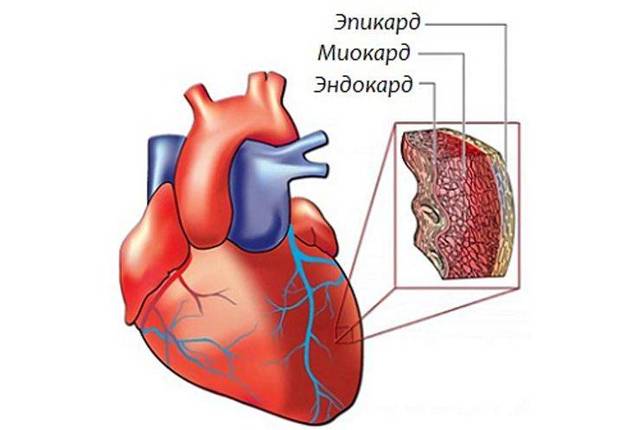 Можно ли принимать панангин при низком давлении - Лечение гипертонии