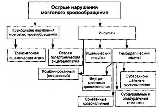 Что такое Острое нарушение мозгового кровообращения?