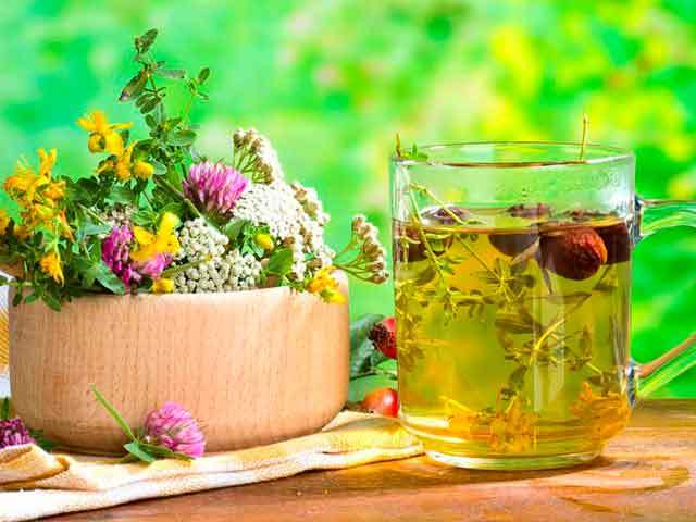 Народные средства для чистки и укрепления кровеносных сосудов головного мозга