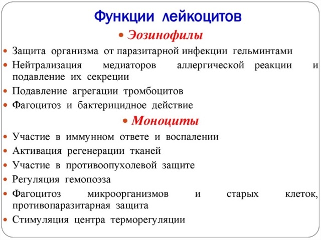 Упали лейкоциты в крови после химиотерапии