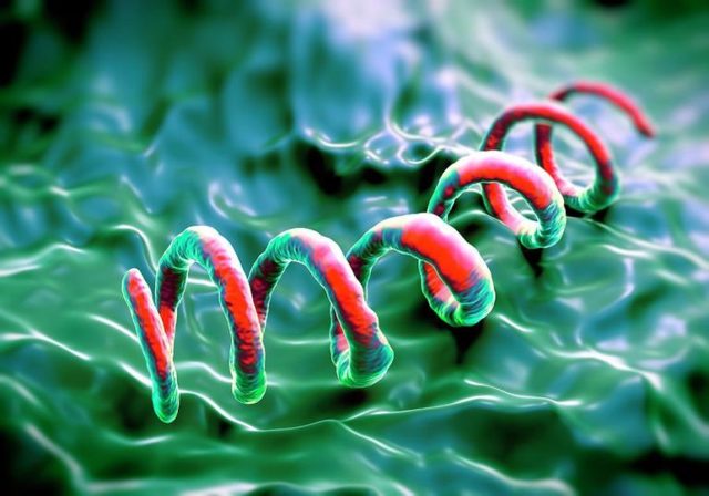 ИФА анализ крови: что такое, почему положительный, расшифровка теста