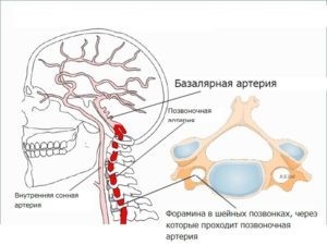 Почему появляется гипоплазия головного мозга