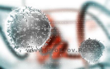 Моноциты повышены: допустимые нормы и причины превышений