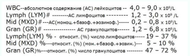 Что такое Лейкоцитарная формула?