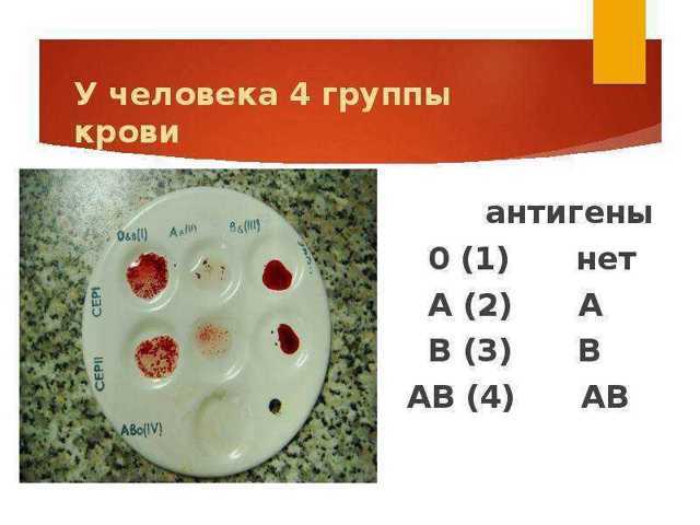 Четвертая положительная группа крови: совместимость и причины несовместимости