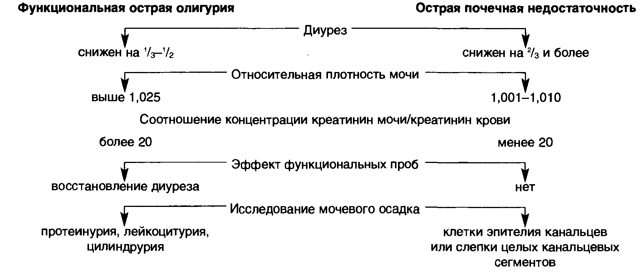 Причины, признаки и лечение олигурии