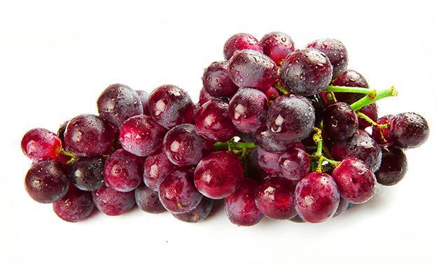 Какие продукты выводят плохой холестерин из организма? - Diabetguru