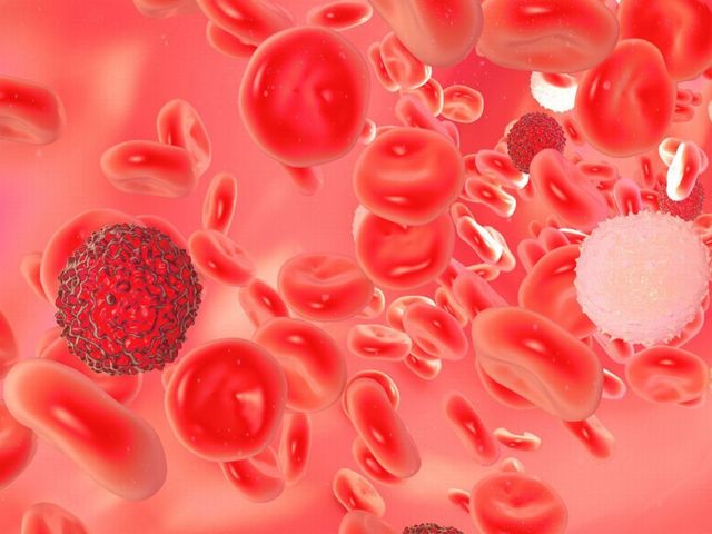 Повышены лейкоциты в крови: что это значит, причины