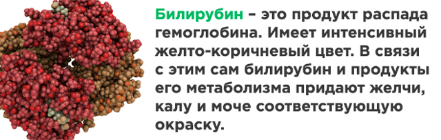 Повышенный билирубин и холестерин причины