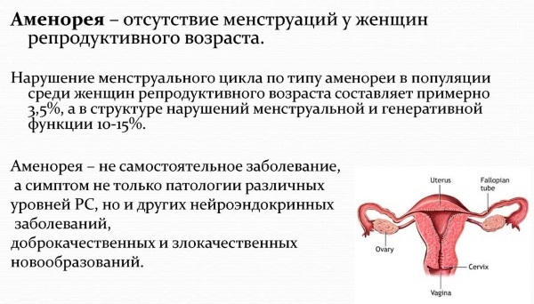 Гомеопатический препарат Ременс – инструкция по применению, аналоги, отзывы, цена